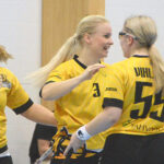 Ritarileidit säbäilivät sarjanousuun