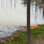Kuusi maastopaloa neljään päivään