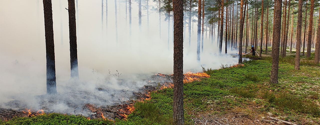 Kuusi maastopaloa neljään päivään