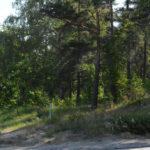 Tammisaaren uudelle hoivakodille rakennus- ja aloituslupa